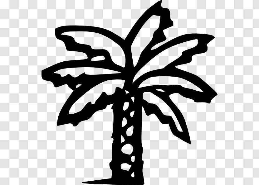 Arecaceae Clip Art - Date Palm - Palmetto Cliparts Transparent PNG