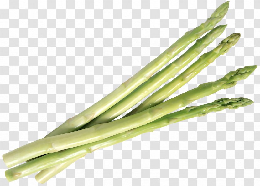 Asparagus Bamboo Shoot Vegetable - Plant Stem Transparent PNG