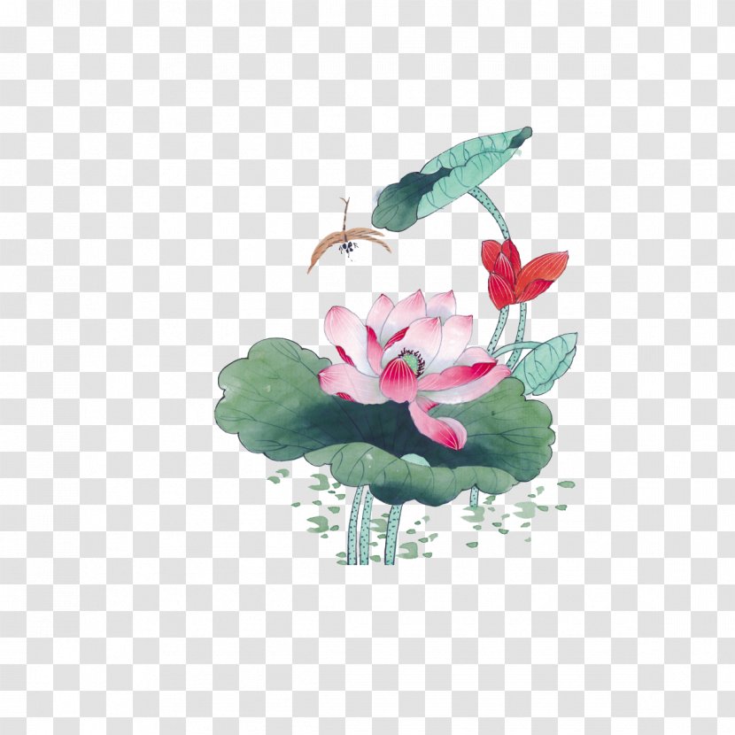 Nelumbo Nucifera Ink Wash Painting Chinese Gongbi - Plant - Lotus Style Transparent PNG
