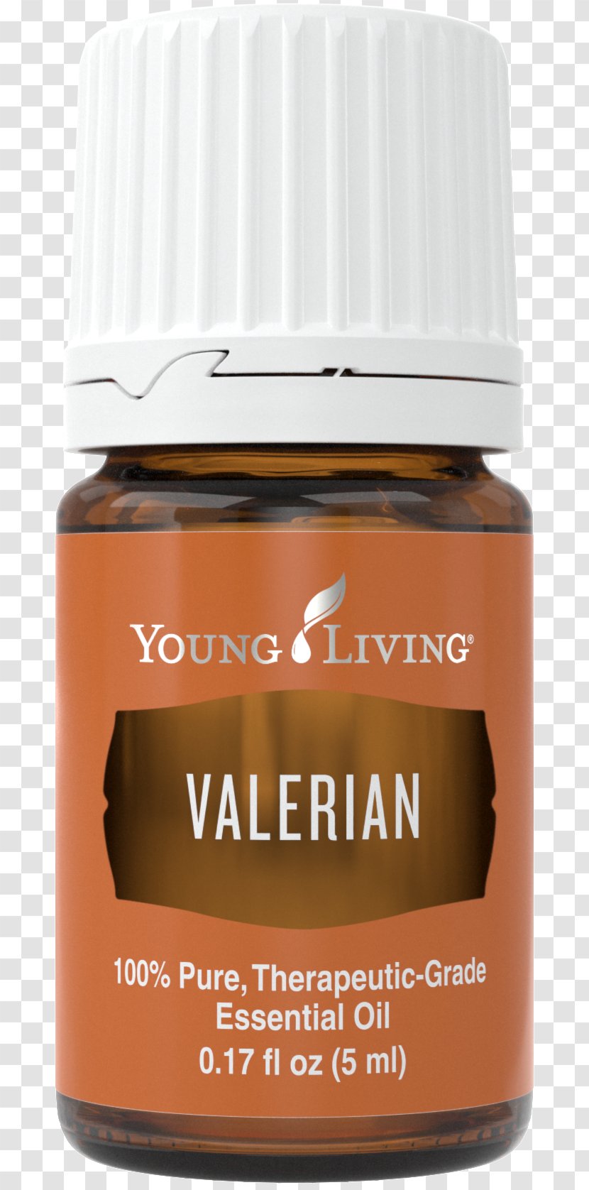 Essential Oil Cinnamon Young Living Flavor - Bark - Seedlings Transparent PNG