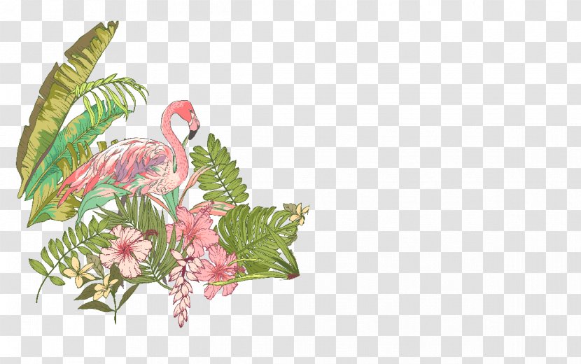 Bird Flamingos Crane Illustration - Flower Arranging - Leaf Transparent PNG