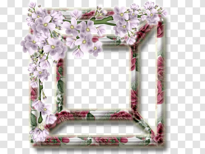 Floral Design Picture Frames Photography - Pink - Ornamental Plant Transparent PNG