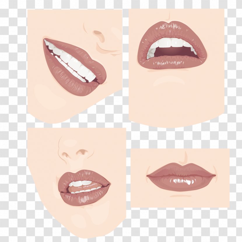 Lip Face Tooth - Tongue - Lips Transparent PNG
