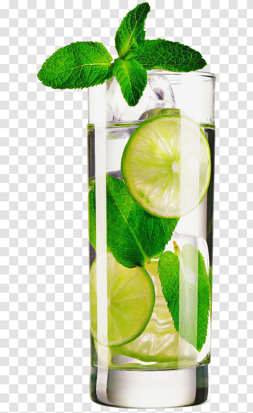 Green Lime Key Plant Highball Glass - Cocktail Garnish - Persian Transparent PNG
