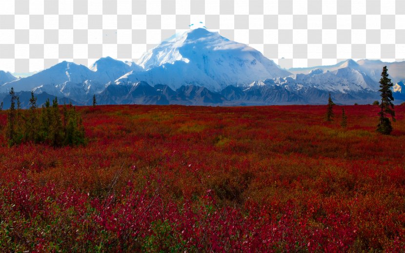 Denali Wonder Lake Yosemite National Park Yellowstone Grand Teton - Plain - United States Nine Transparent PNG