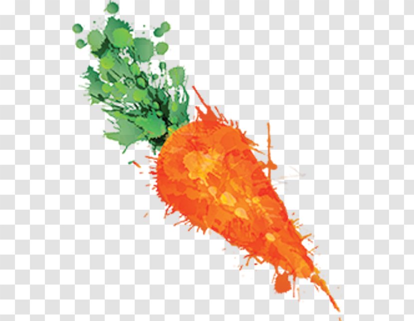 Cumbria Carrot Matey Boy Vegetable Writing - Carrots Transparent PNG