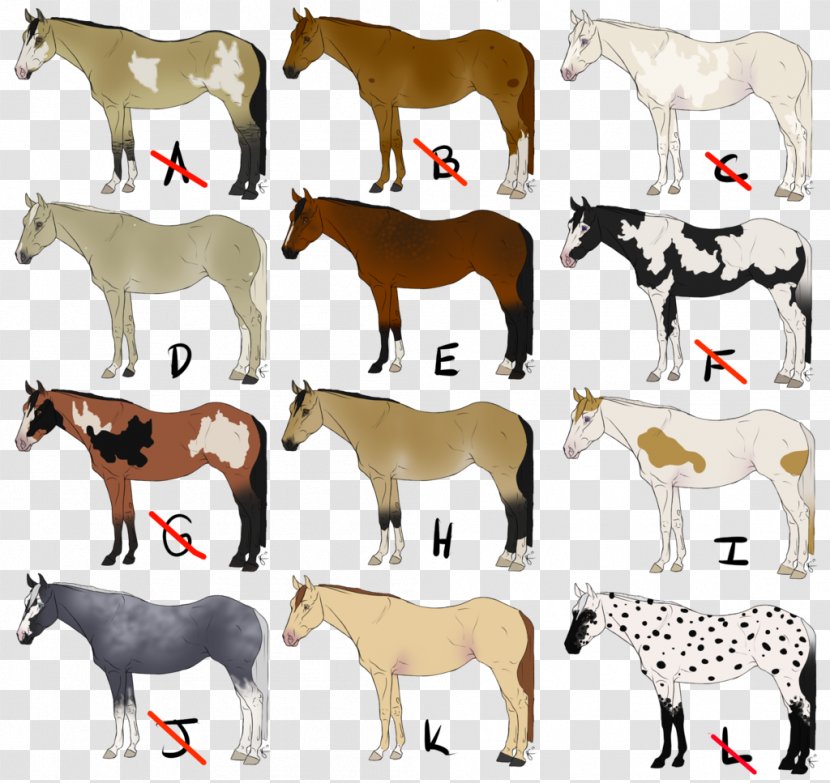 Mustang Foal Mare Donkey Pony - Pack Animal Transparent PNG