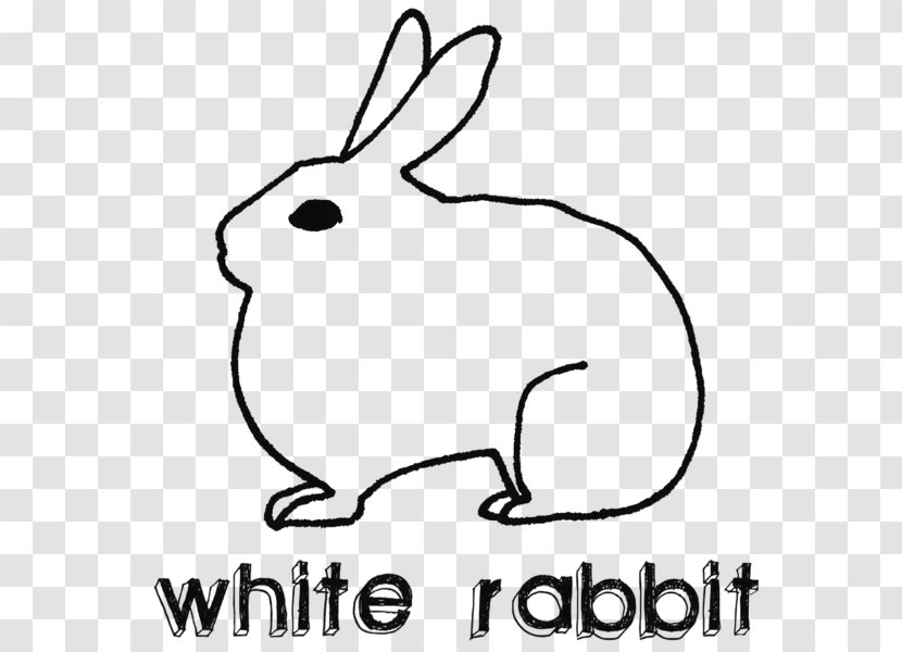 Domestic Rabbit Hare White Lionhead Transparent PNG