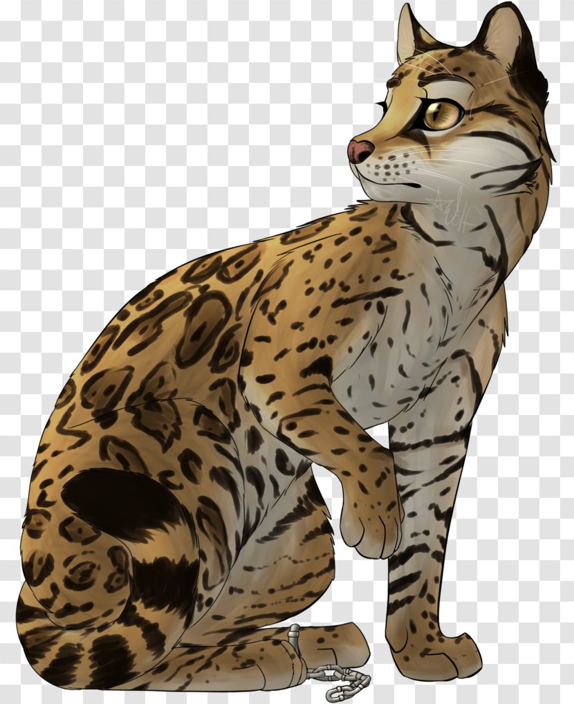 Ocelot Wildcat Felidae Cheetah - Small To Medium Sized Cats - Jaguar Transparent PNG