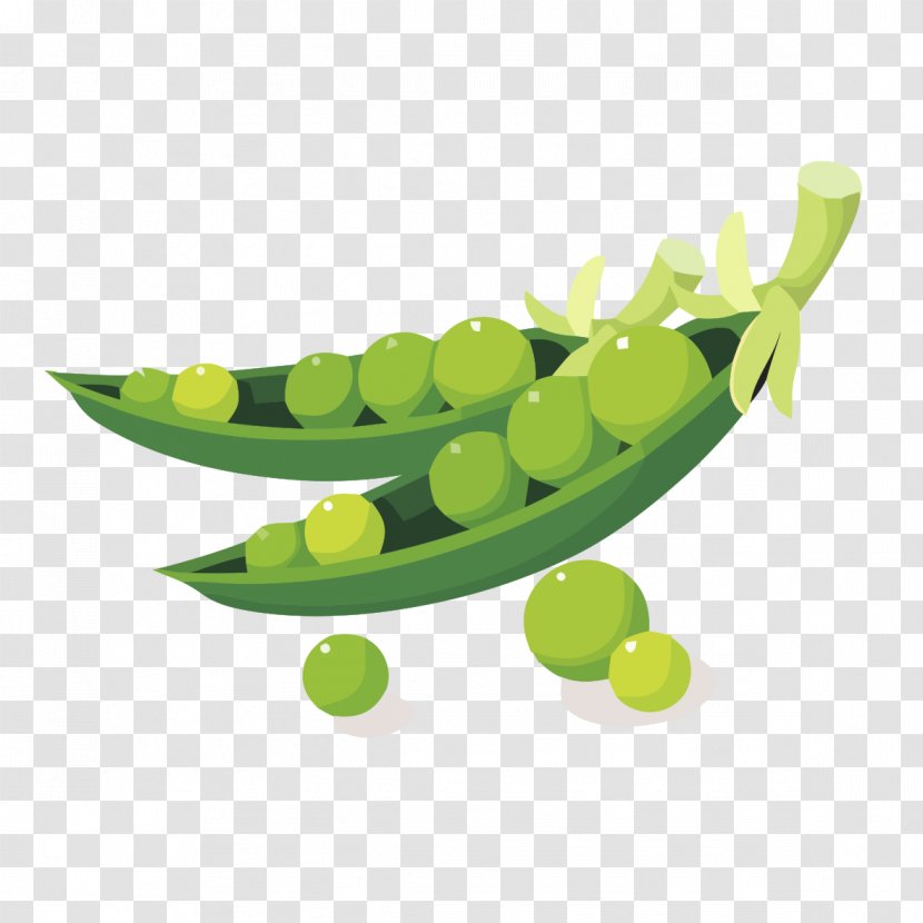 Soybean Royalty-free Clip Art - Green - Stripped Peas Transparent PNG