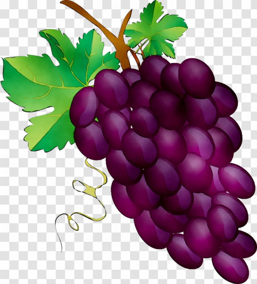 Sultana Grove Winery Camelot Cellars Corban Experience - Flowering Plant - February 2019 The Comedy TOUR At Transparent PNG