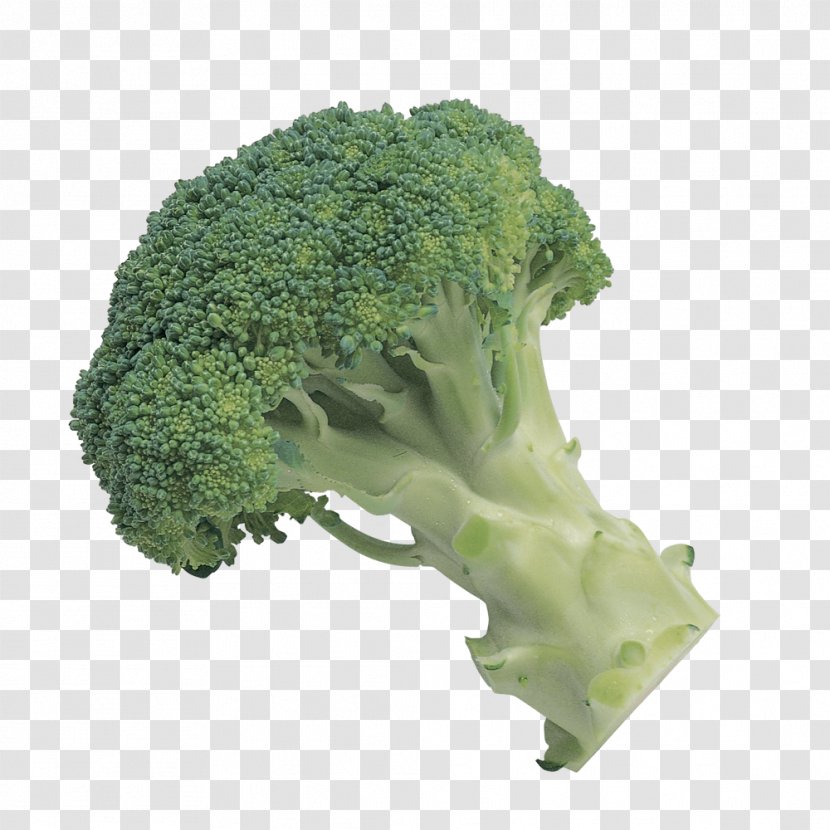 Broccoli Slaw Vegetable Clip Art - Kale - Green Transparent PNG