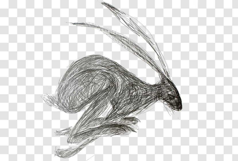 European Hare Drawing Rabbit Watercolor Painting Art - Coloring Book Transparent PNG