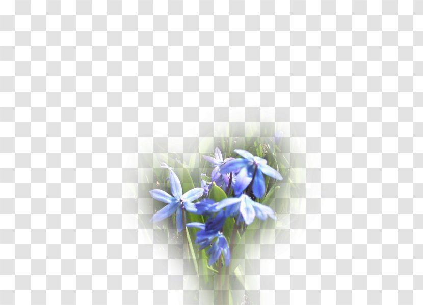 Petal Desktop Wallpaper Blue Cut Flowers Rosaceae - Rose Transparent PNG