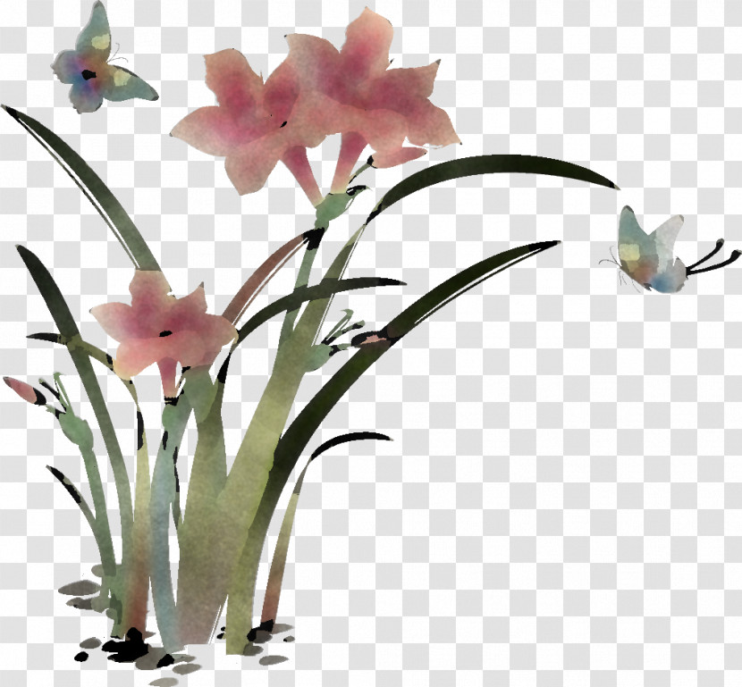 Lily Flower Floral Transparent PNG