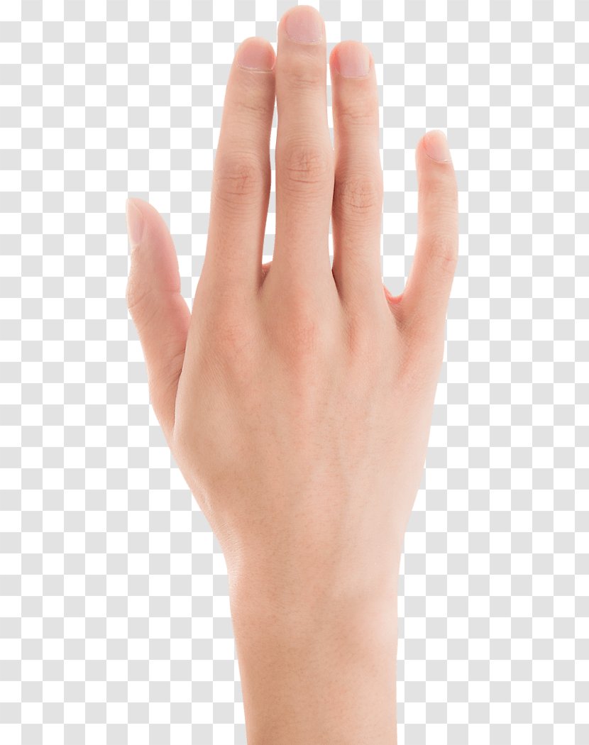 Hand - Finger - Thumb Transparent PNG