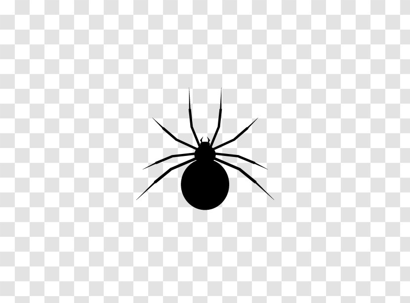 Widow Spiders Insect Invertebrate Black - Spider Transparent PNG