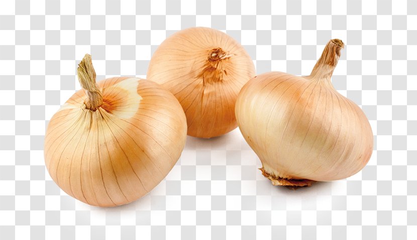 Yellow Onion Shallot Sweet And Sour Pork Garlic - Genus Transparent PNG