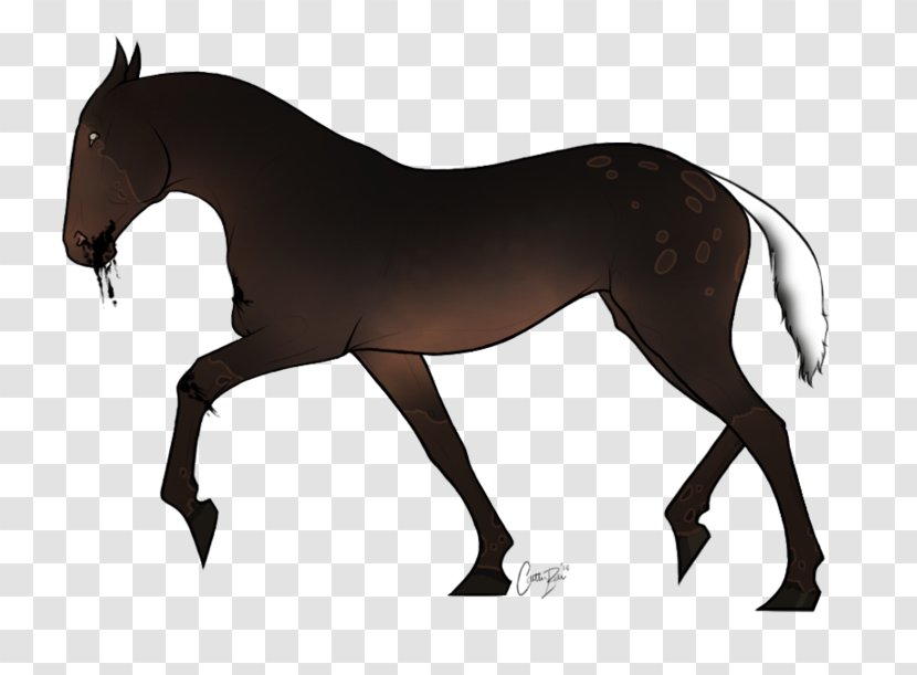 Mustang Foal Stallion Rein Mare - Fictional Character Transparent PNG