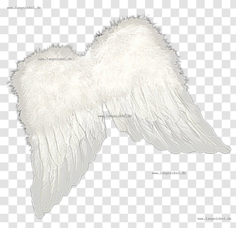 White Fur Legendary Creature Supernatural - Deko Transparent PNG