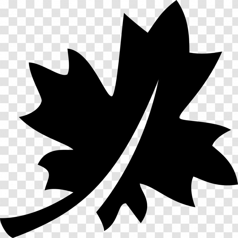 Maple Leaf Canada - Point - Canadian Transparent PNG