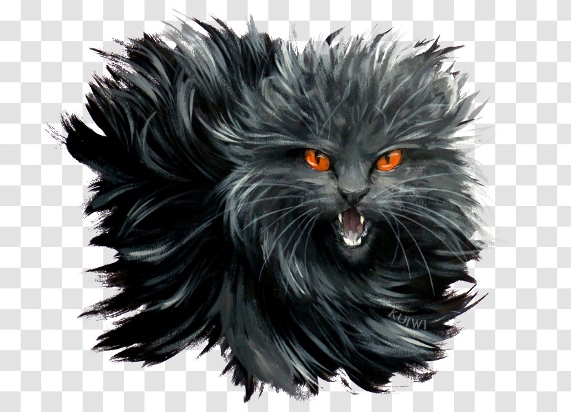 Whiskers Cat Warriors Firestar Drawing Transparent PNG