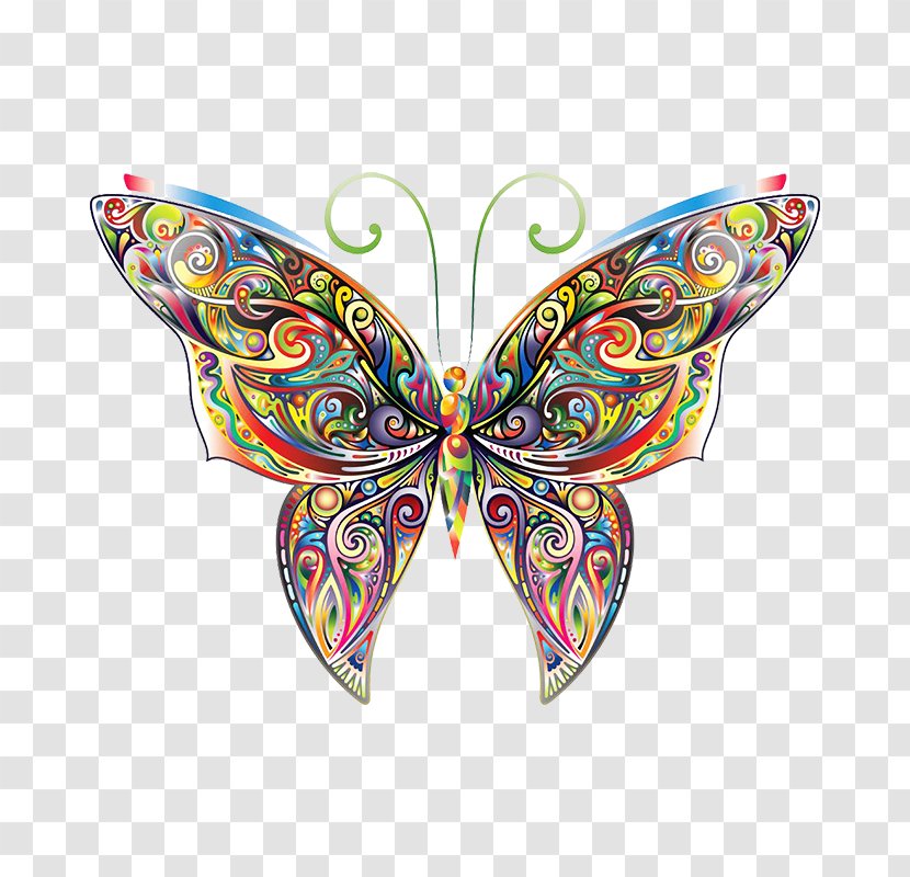 Butterfly Coloring Book Decal Illustration - Sticker - Colorful Transparent PNG