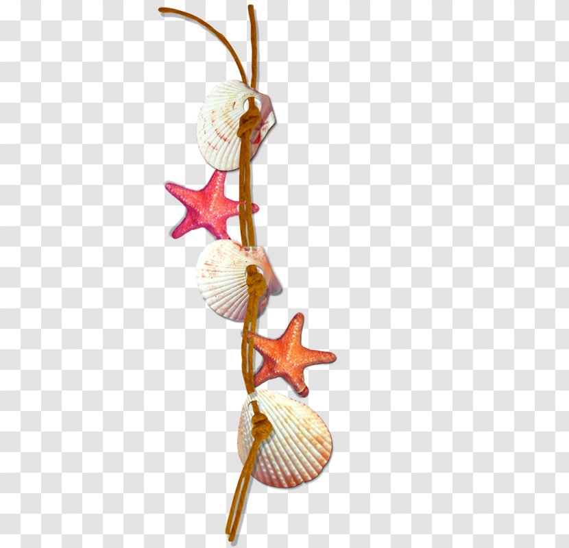 Seashell Clip Art - Shells And Starfish Decoration Rope Transparent PNG