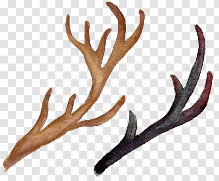 Reindeer Antler Flower Logo - Horn - Hand-painted Watercolor Antlers Transparent PNG