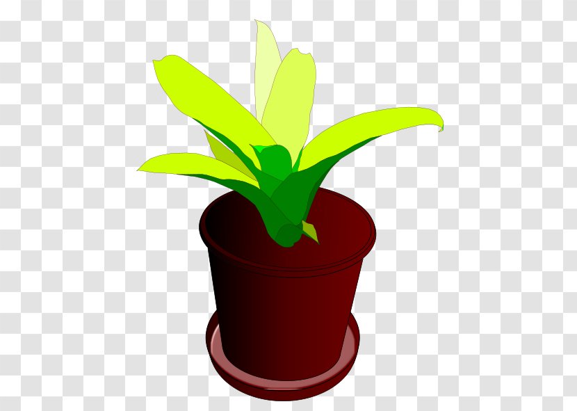 Houseplant Flowerpot Clip Art - Ornamental Plant - Beautiful Cliparts Transparent PNG