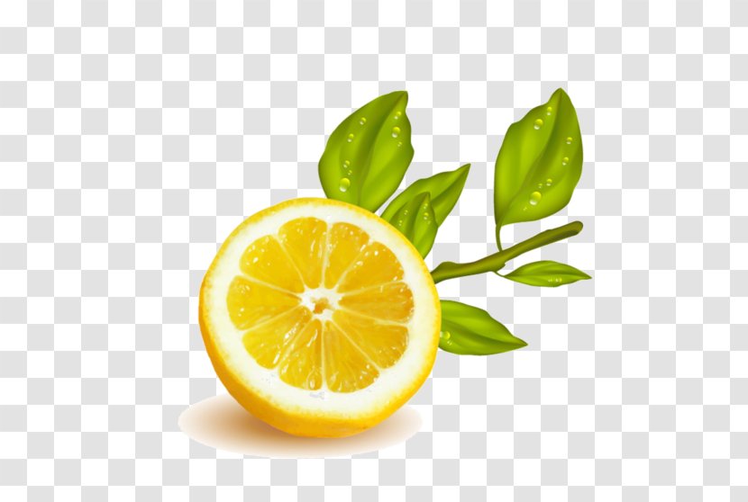 Lemon-lime Drink Rangpur Citrus Junos - Diet Food - Lemon Transparent PNG