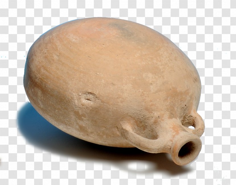 Snout Bone - Archaeologist Transparent PNG