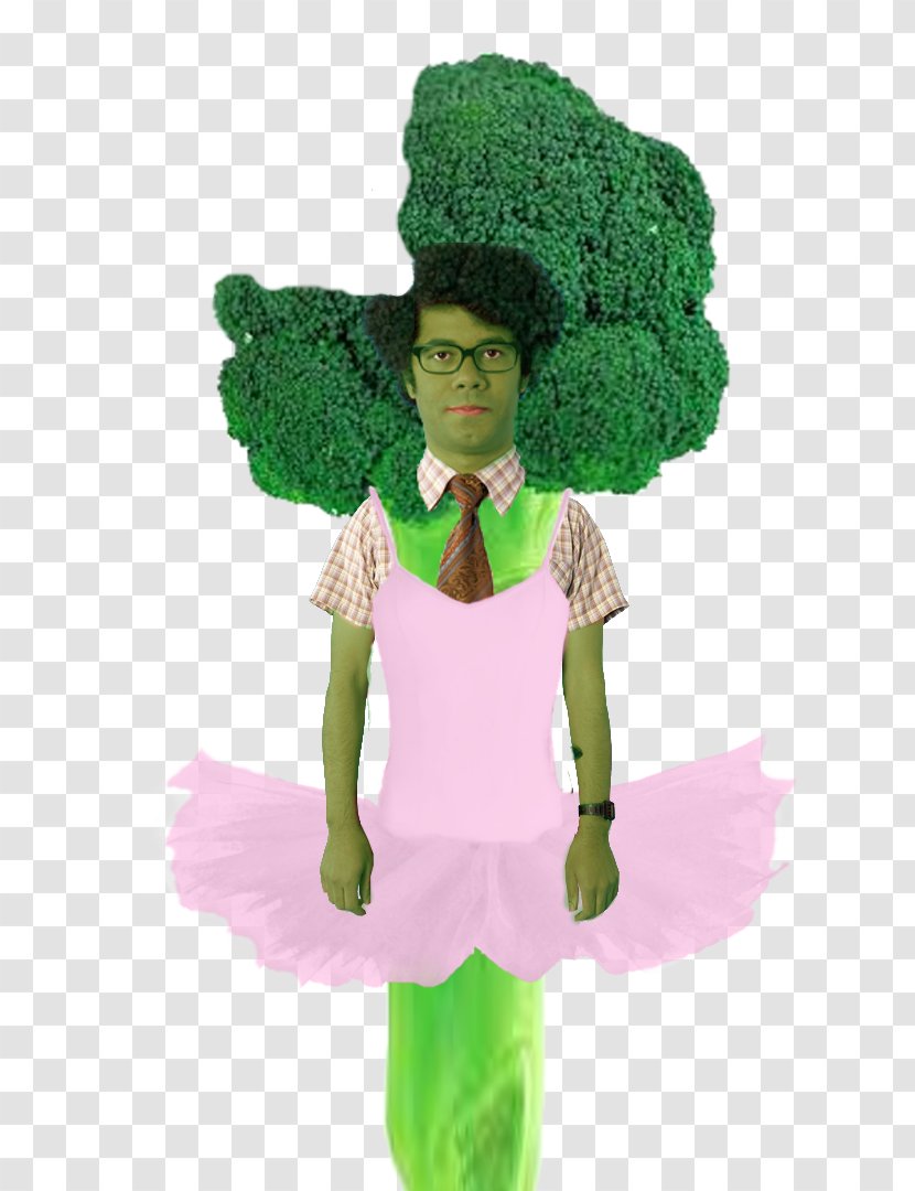 The IT Crowd Character Costume Leaf Fiction - Romanesco Broccoli Transparent PNG