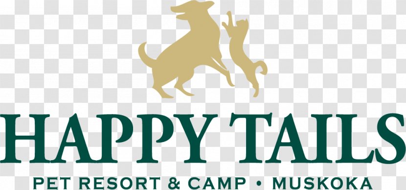 Happy Tails Pet Resort & Camp Amarillo Pedicure Money Capital - Finance - Wags Transparent PNG