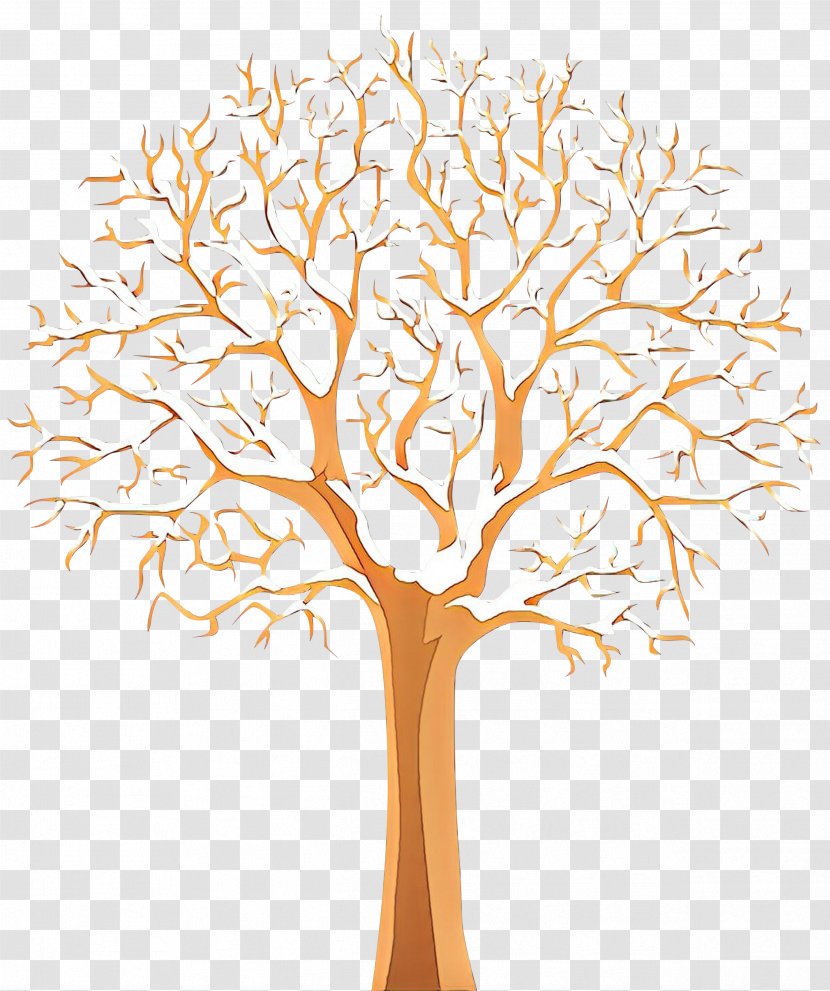 Tree Trunk Drawing - Plane Plant Stem Transparent PNG