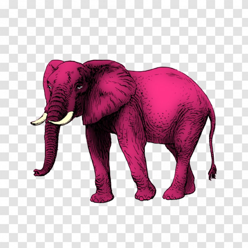 African Elephant Free Clip Art - Magenta - Motif Transparent PNG