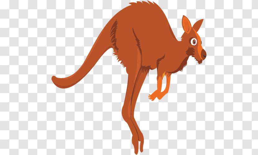 Red Kangaroo Clip Art - Cartoon Transparent PNG