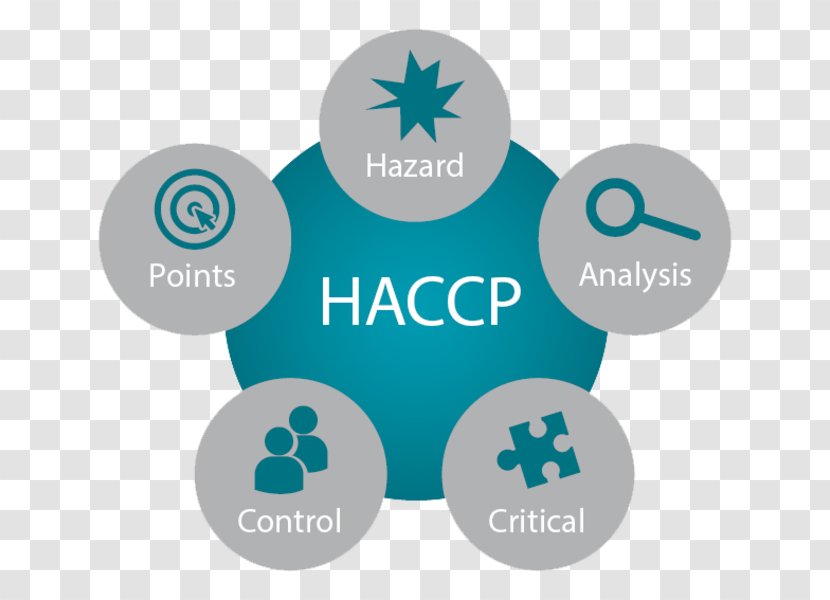 Hazard Analysis And Critical Control Points Food Safety - Logo - Haccp Transparent PNG