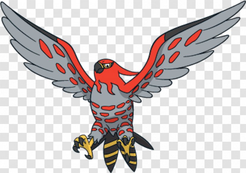Talonflame Fletchinder Flying Fire Charizard - Bird - Fletchling Pokemon Transparent PNG