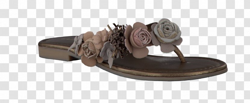 Flip-flops Shoe Boot Leather Sandal - Heel - Flip Flops For Women Transparent PNG