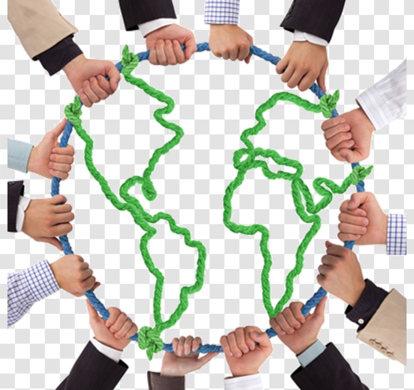 Intercultural Communication Organization Cooperation Social Group - Cooperative Transparent PNG