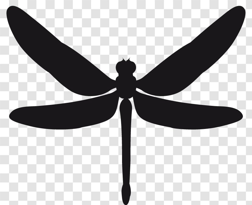 Stencil Sticker Dragonfly Insect - Monochrome Transparent PNG
