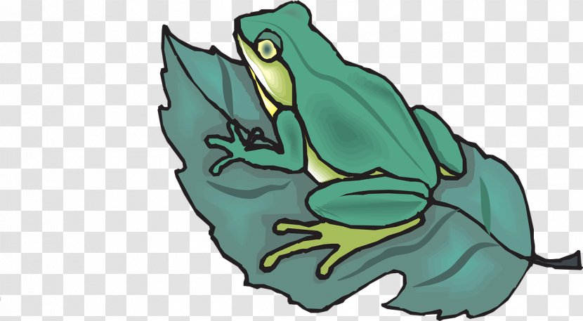 The Tree Frog Amphibian Clip Art - Cartoon Transparent PNG
