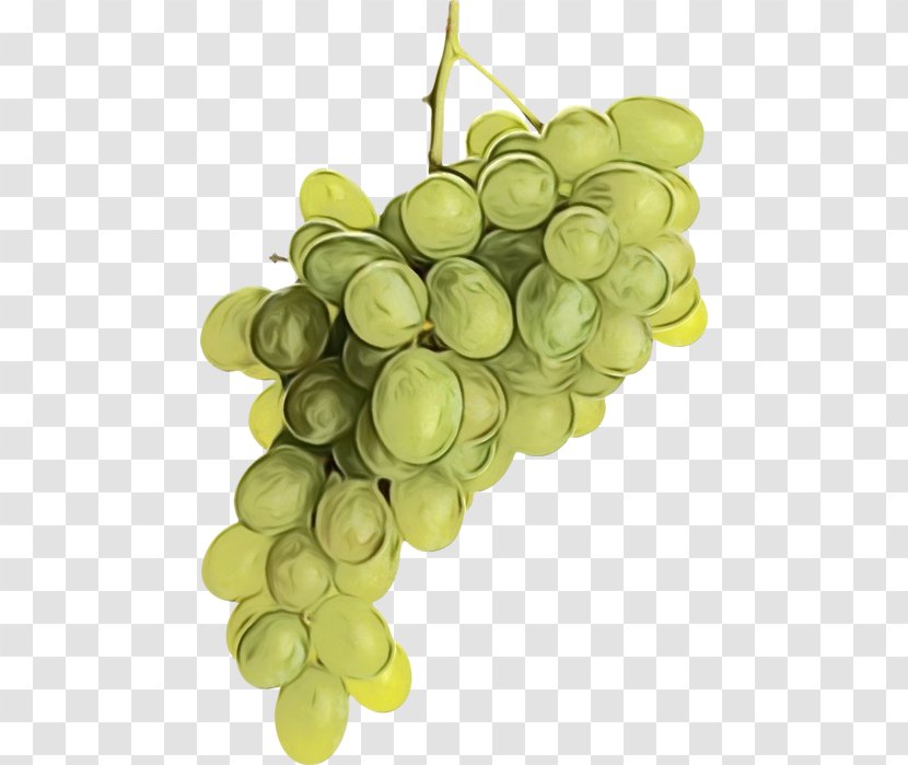 Grape Cartoon - Seed Oil - Flower Transparent PNG