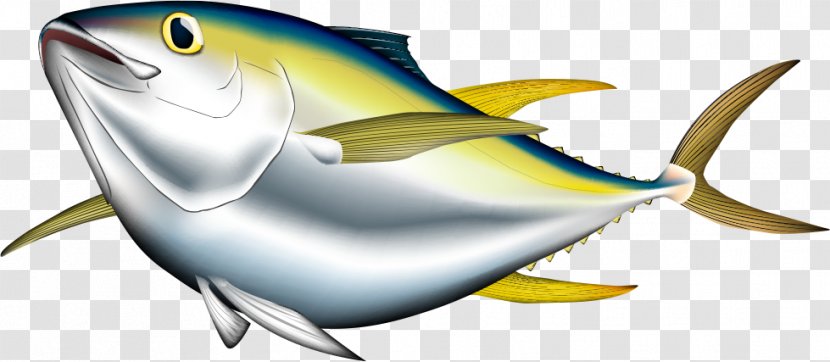 Bigeye Tuna Albacore Pacific Bluefin Yellowfin Illustration - Marine Biology - Cartoon Fish Seafood Transparent PNG