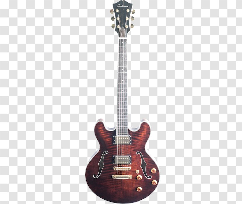 Electric Guitar Baritone Archtop Semi-acoustic Transparent PNG