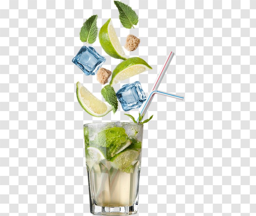 Mojito - Lime - Alcoholic Beverage Vodka And Tonic Transparent PNG