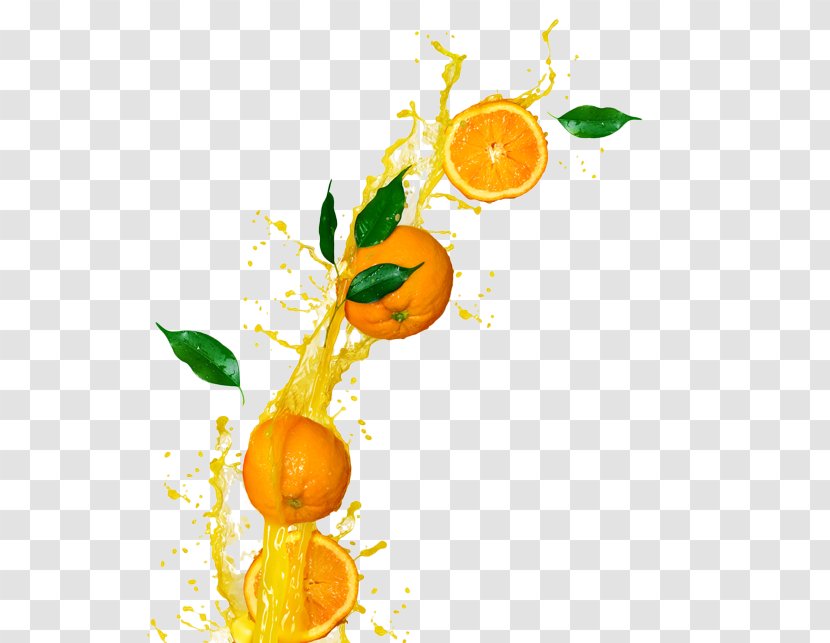 Clementine Orange Juice Fizzy Drinks Soft Drink - Fruit Transparent PNG