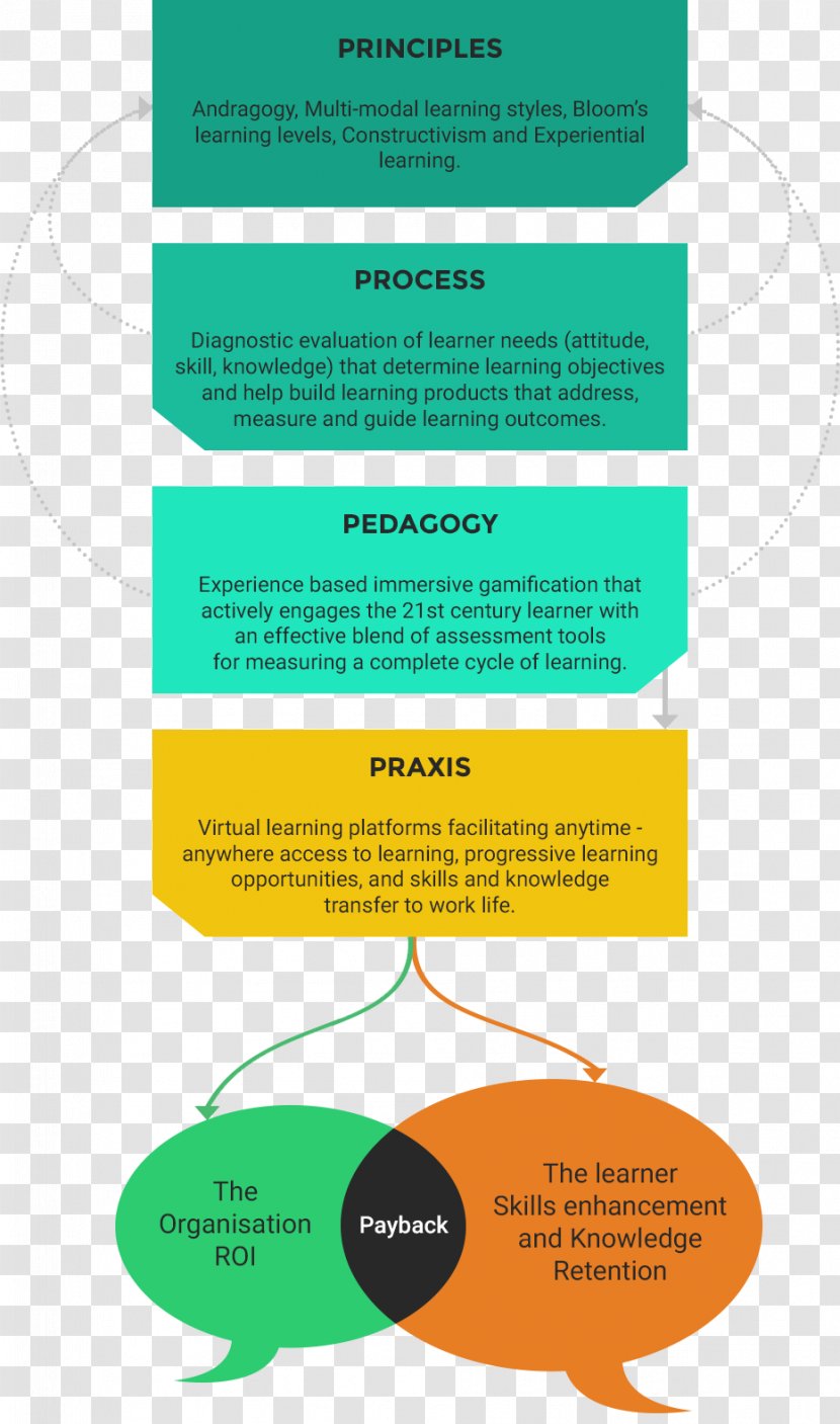 Clip Art Product Design Brand Organism Line - Area - Education Info Graphics Template Transparent PNG