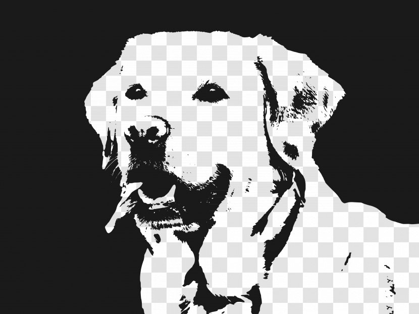Labrador Retriever Illustration - Decal - Dog Vector Transparent PNG